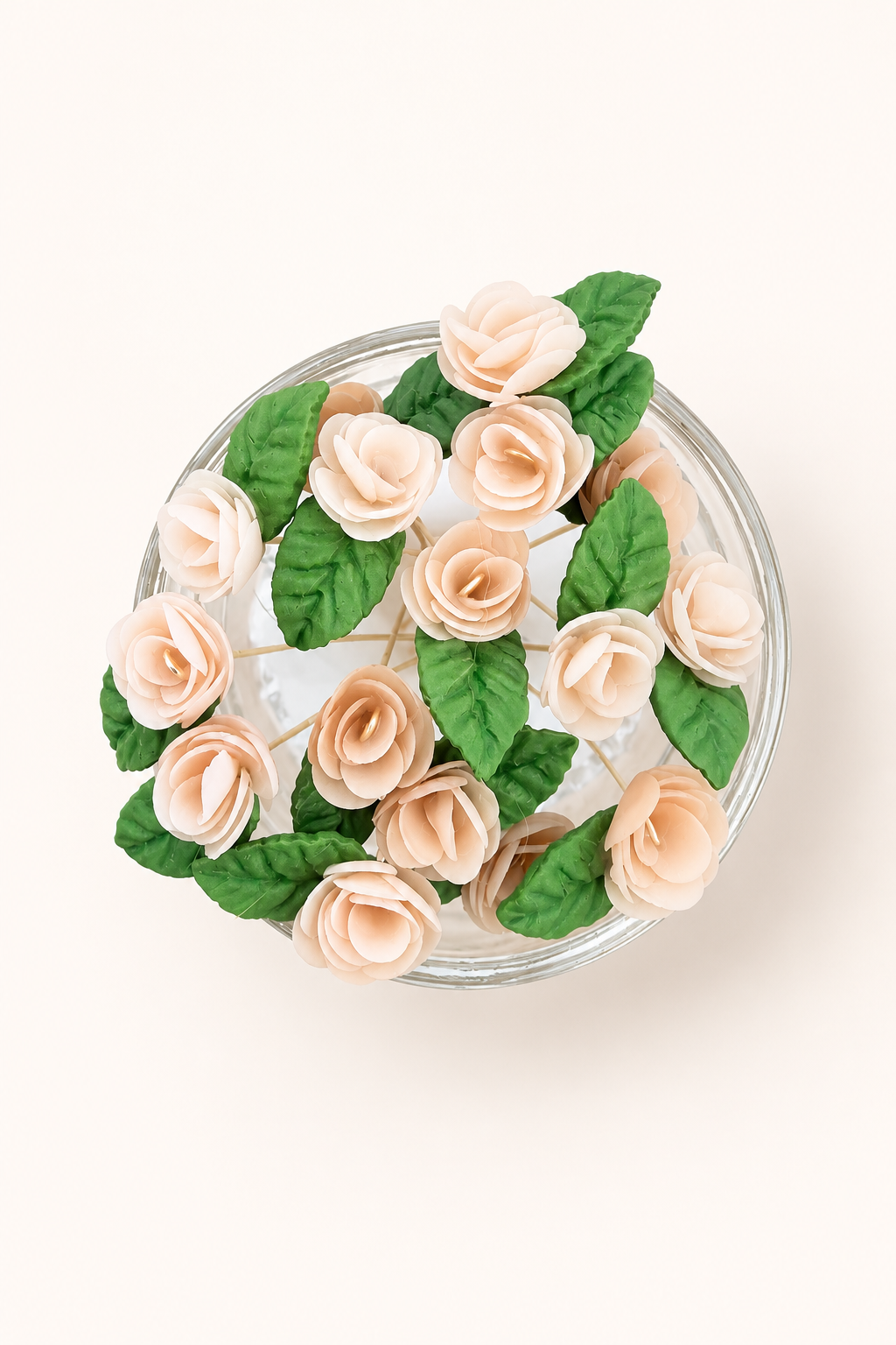 A pot of champagne pink roses